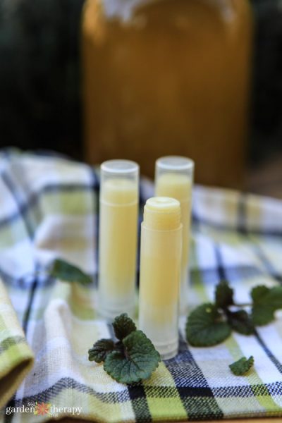 Lemon Balm Lip Balm Recipe DIY