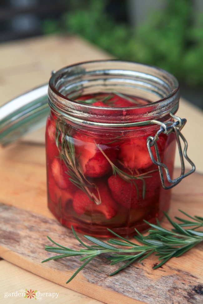 Make Strawberry Rosemary Infused Vinegar for Digestion