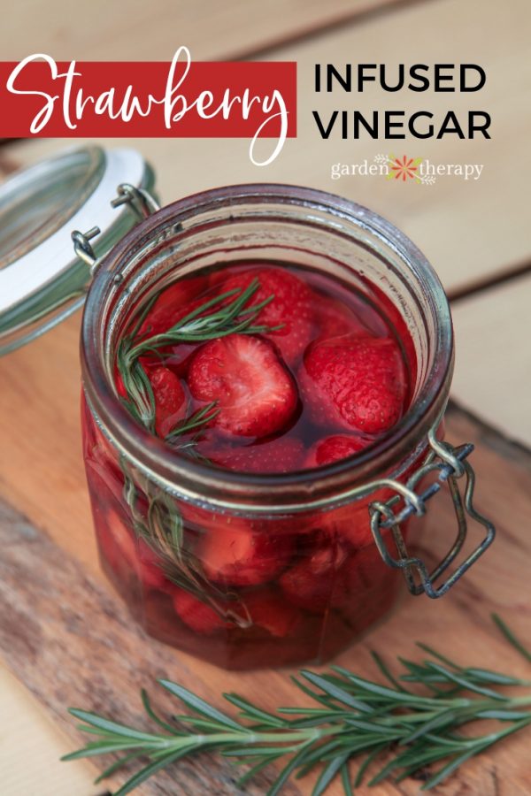 Infused Strawberry Vinegar Recipe for Delicious Salads + Improved