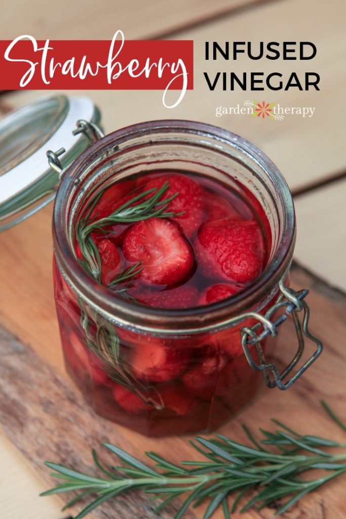 Strawberry Infused Vinegar