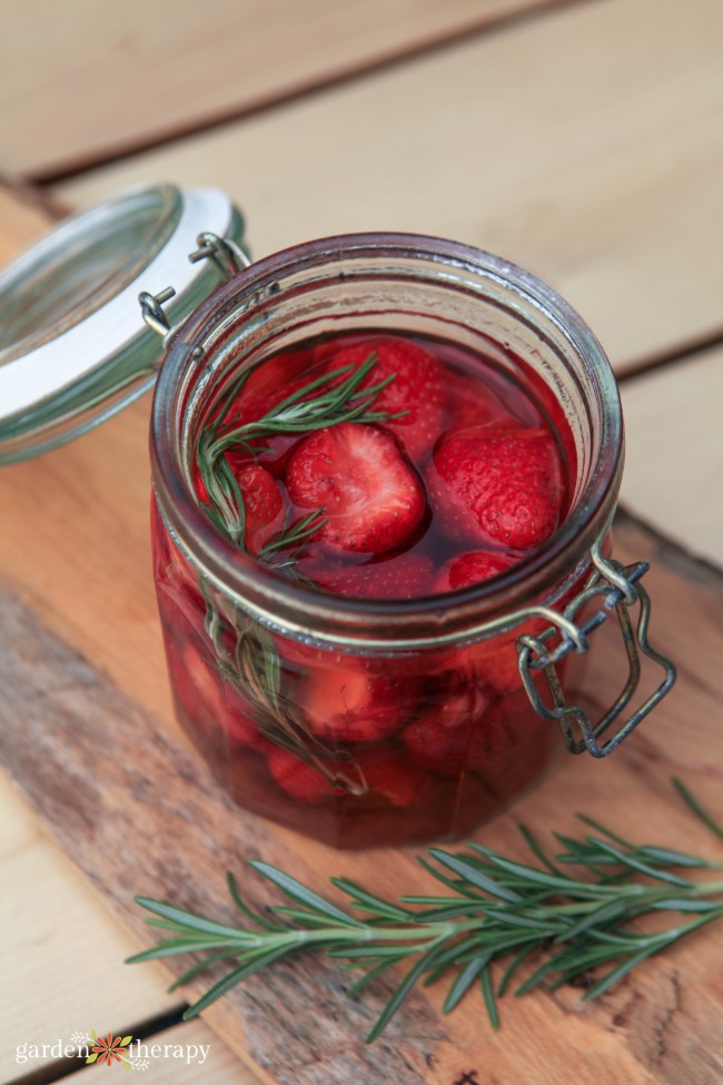 Strawberry Infused Vinegar