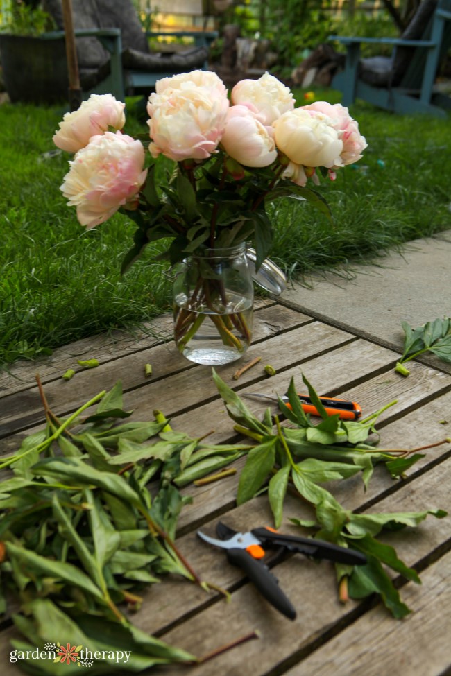 Making a peony bouquet