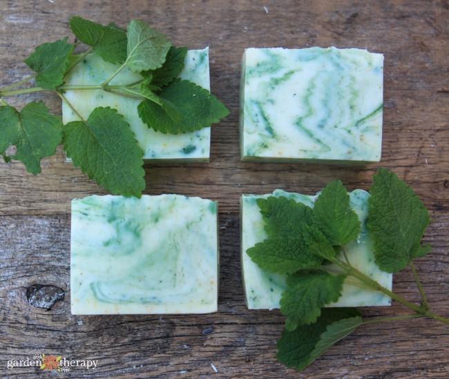 Natural Color Lemon Balm Soap