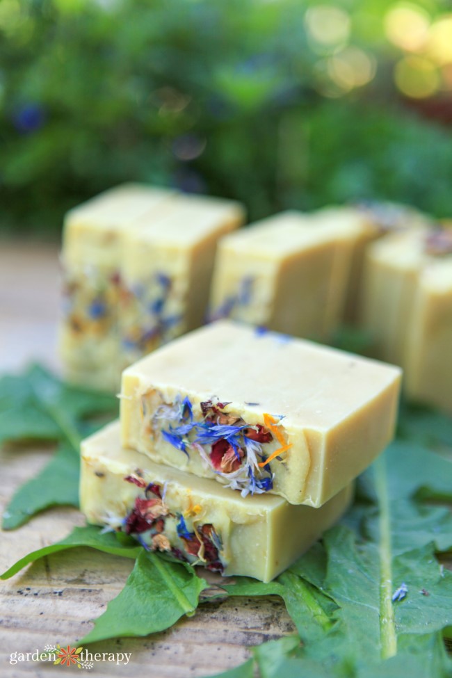 bars of fresh wildflower soap on dandelion greens