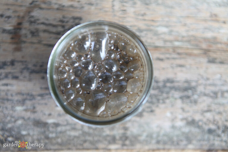 How to pH Soil Test at Home (No Special Equipment Needed!)