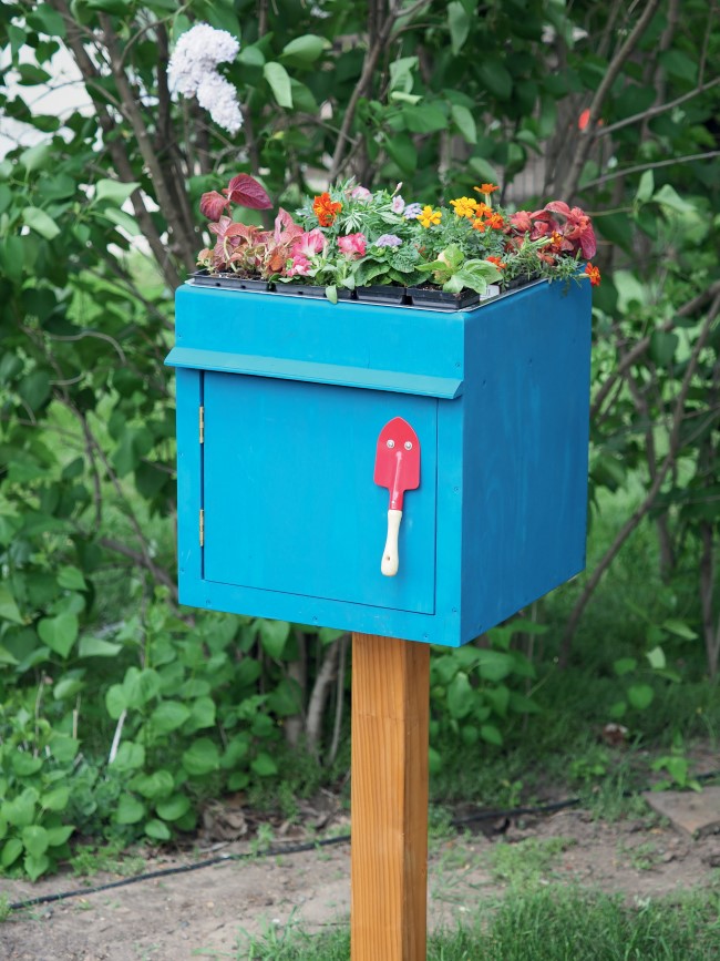 Flower Box Donating Center Photo By Bethany Nelson