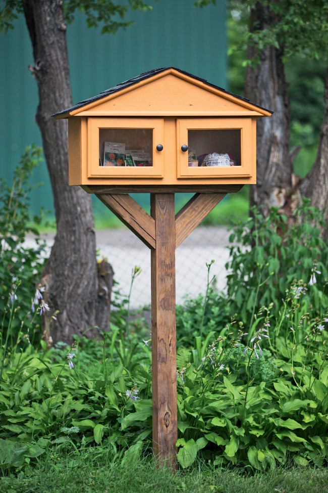 Public Seed Library Photo by Crystal Liepa