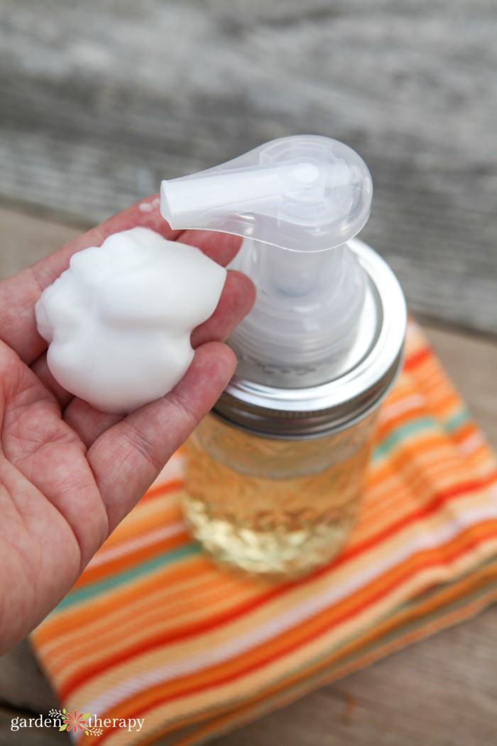 How to Make a Foaming Soap Dispenser + an All-Natural Foam Soap Recipe -  Garden Therapy