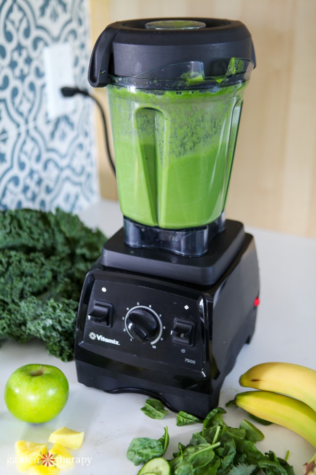 Blending a Green Smoothie