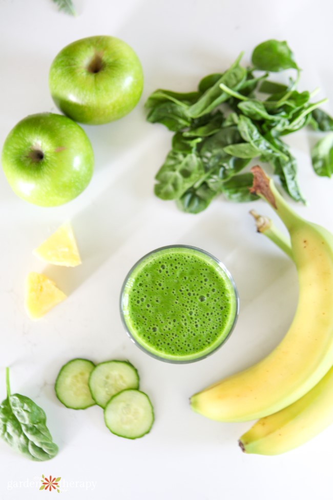 Garden Green Smoothie Recipe for Glowing Skin - Garden Therapy