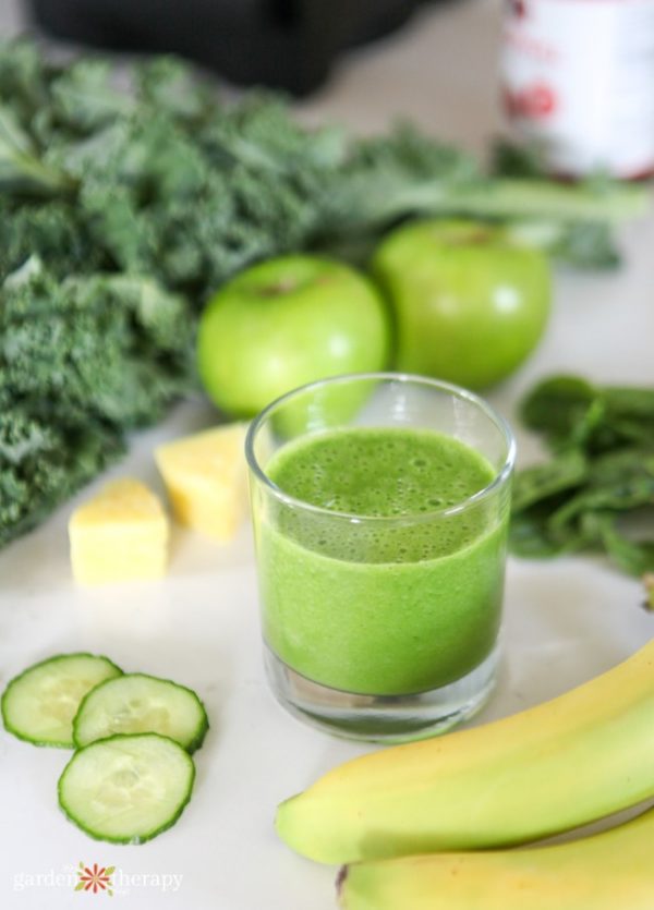 Garden Green Smoothie Recipe for Glowing Skin Garden Therapy