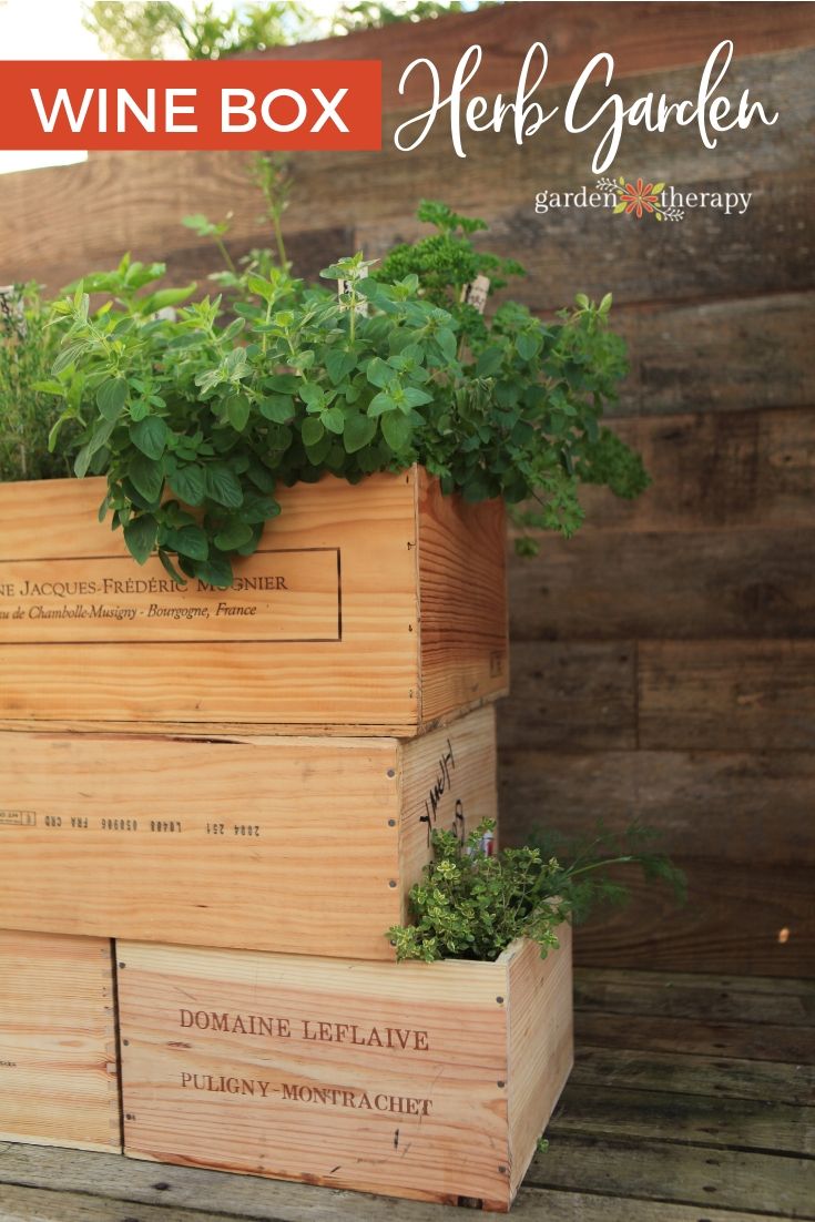 Make a Wine Box Herb Garden Fit for a Connoisseur Garden Therapy