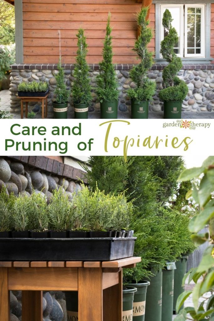 Care and Pruning of Topiaries