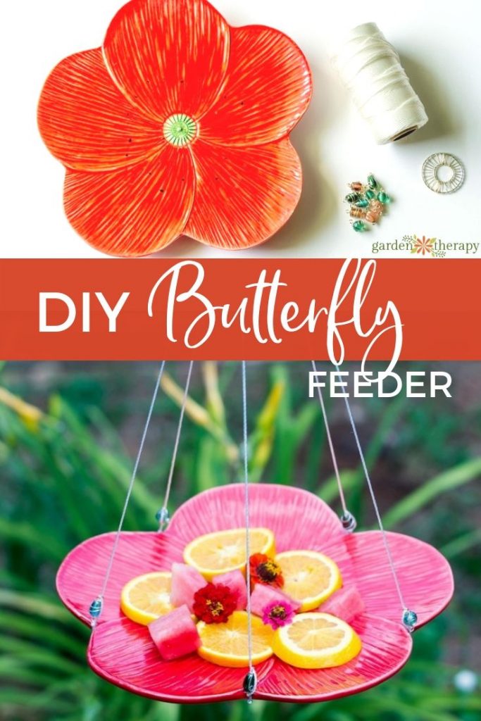 DIY Butterfly Feeder