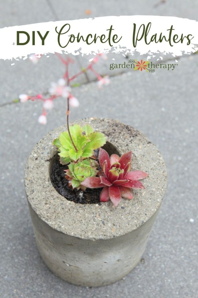 DIY Concrete planters made from recycled plastic containers