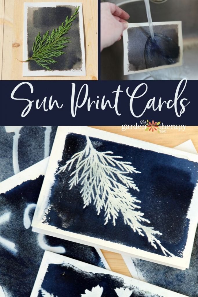 How to Make Sun Print Cards