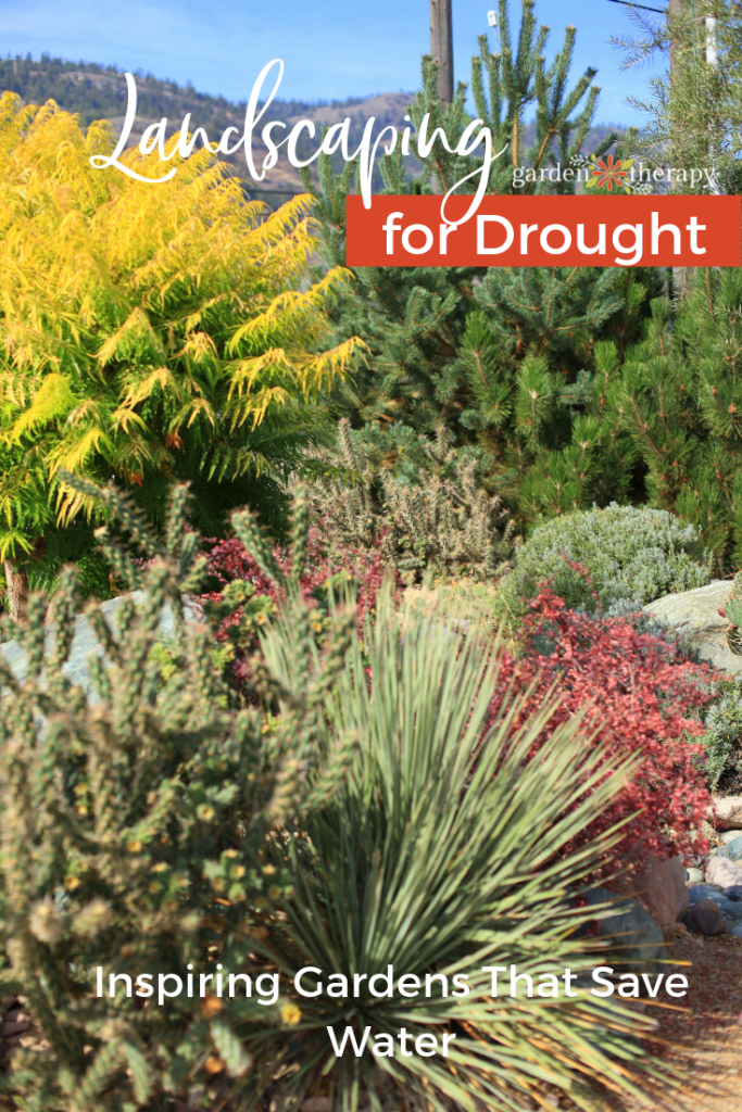 Landscaping for Drought