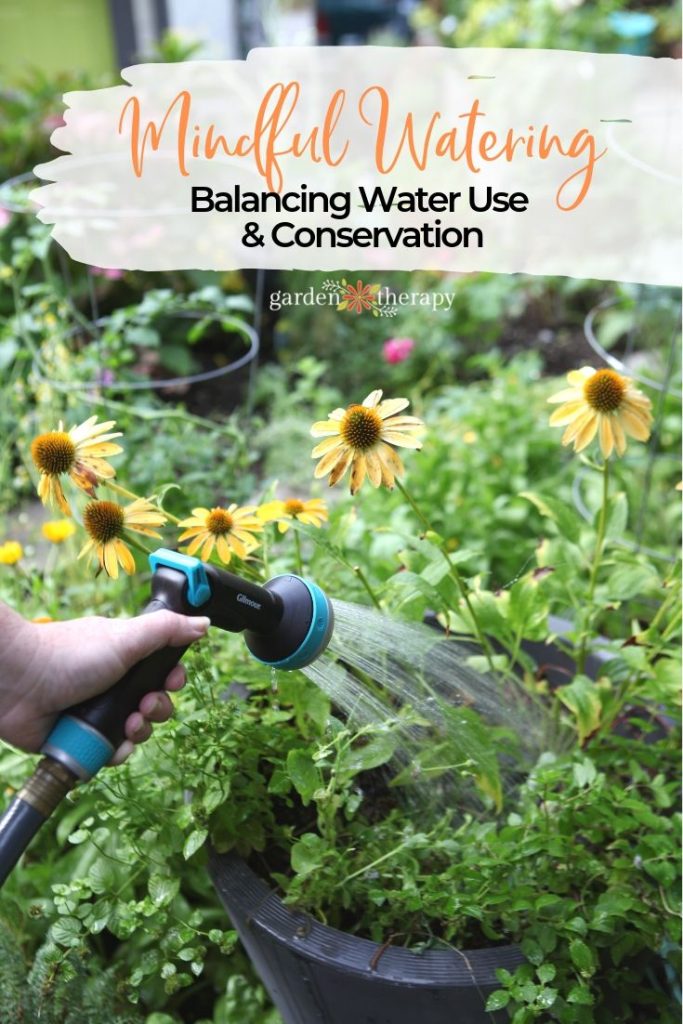 Mindful Garden Watering Balancing Water Use and Conservation