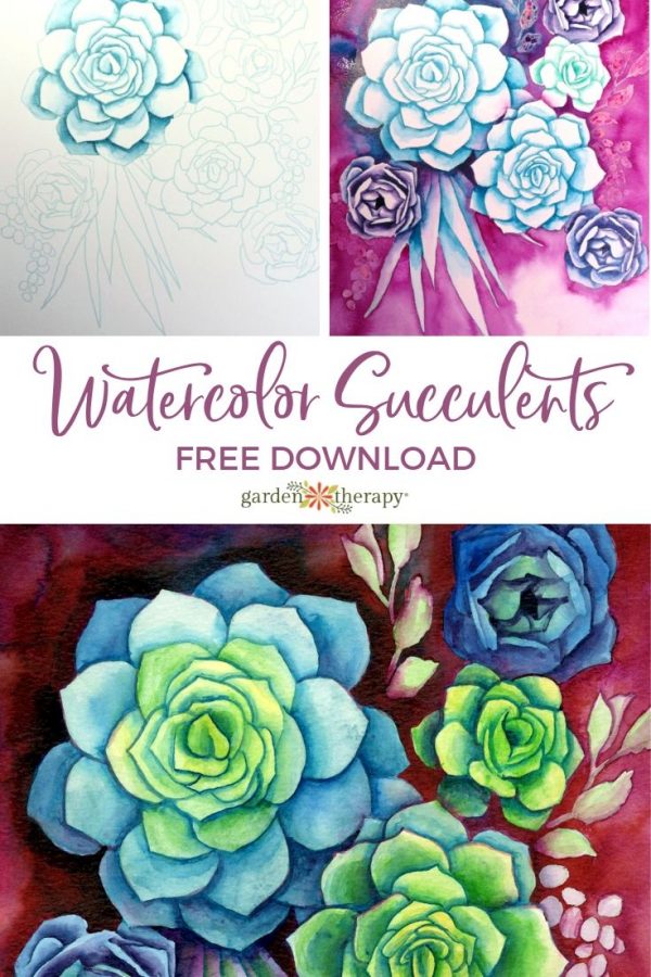 How to Paint Watercolor Succulents the Easy Way Garden Therapy