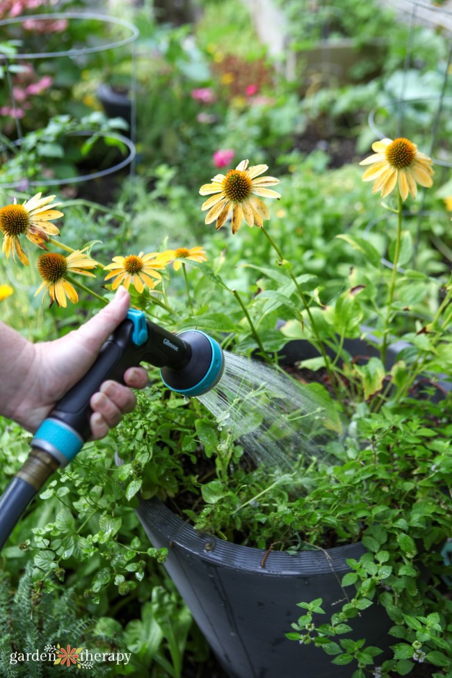 Thumb Control Spray Nozel watering containers as an ergonomic gardening tool