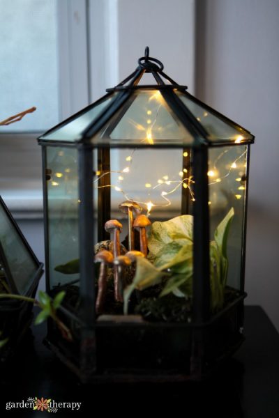 Terrarium with clay mushrooms, tropical plants, and fairy lights