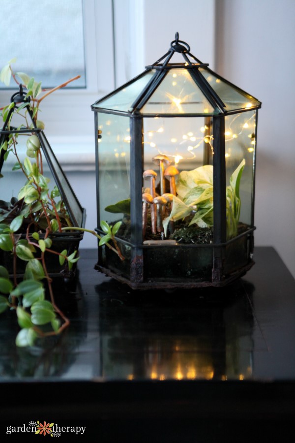 Terrarium lit with fairy lights and filled with tropical plants and clay mushrooms