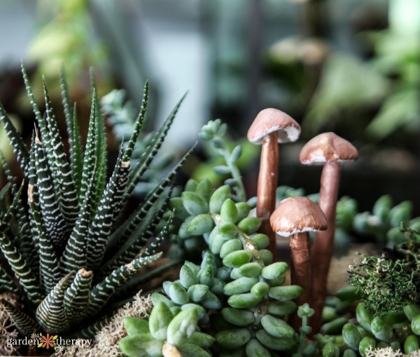 Clay mushrooms in a planter with assorted succulents