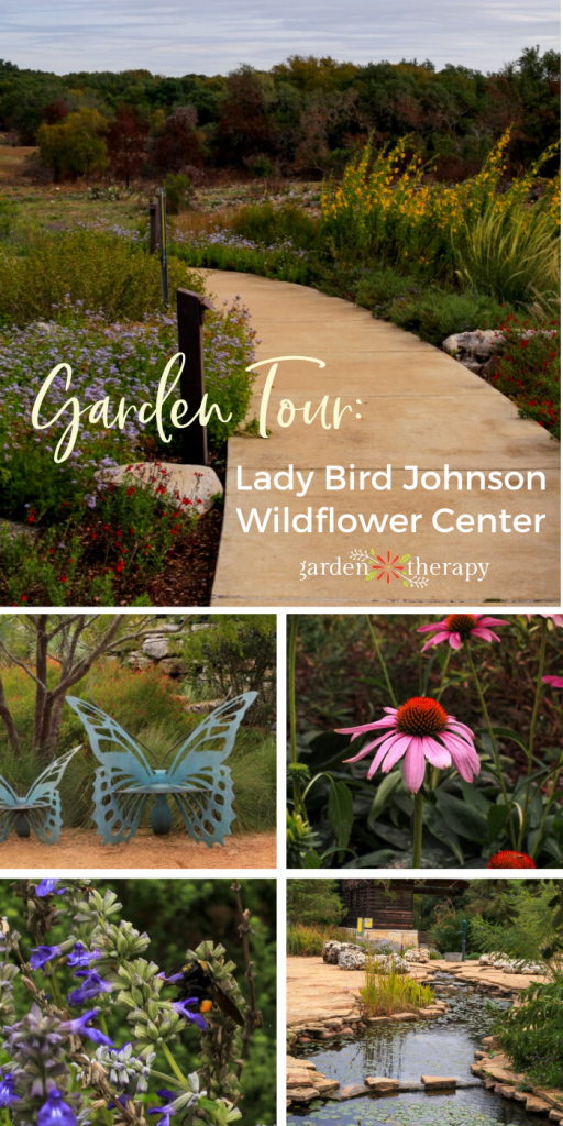 Plant a Wildflower Meadow - Lady Bird Johnson Wildflower Center