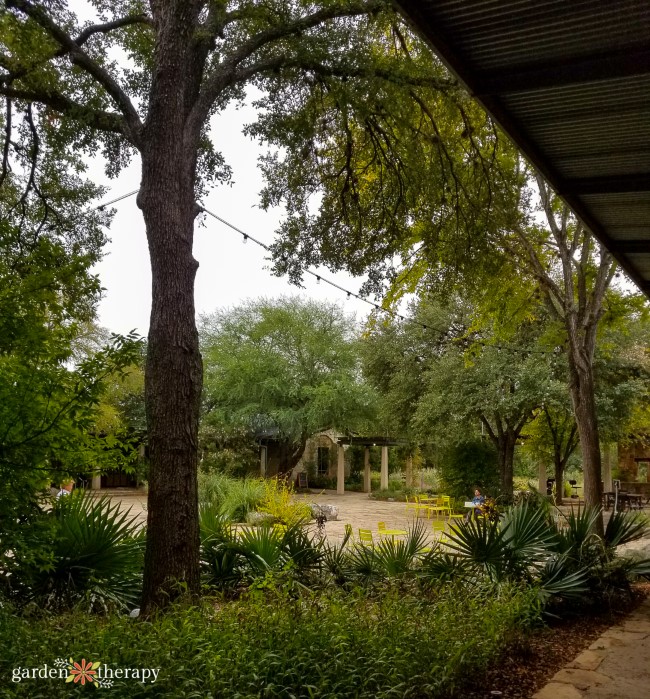 LBJ Wildflower Center Central Courtyard