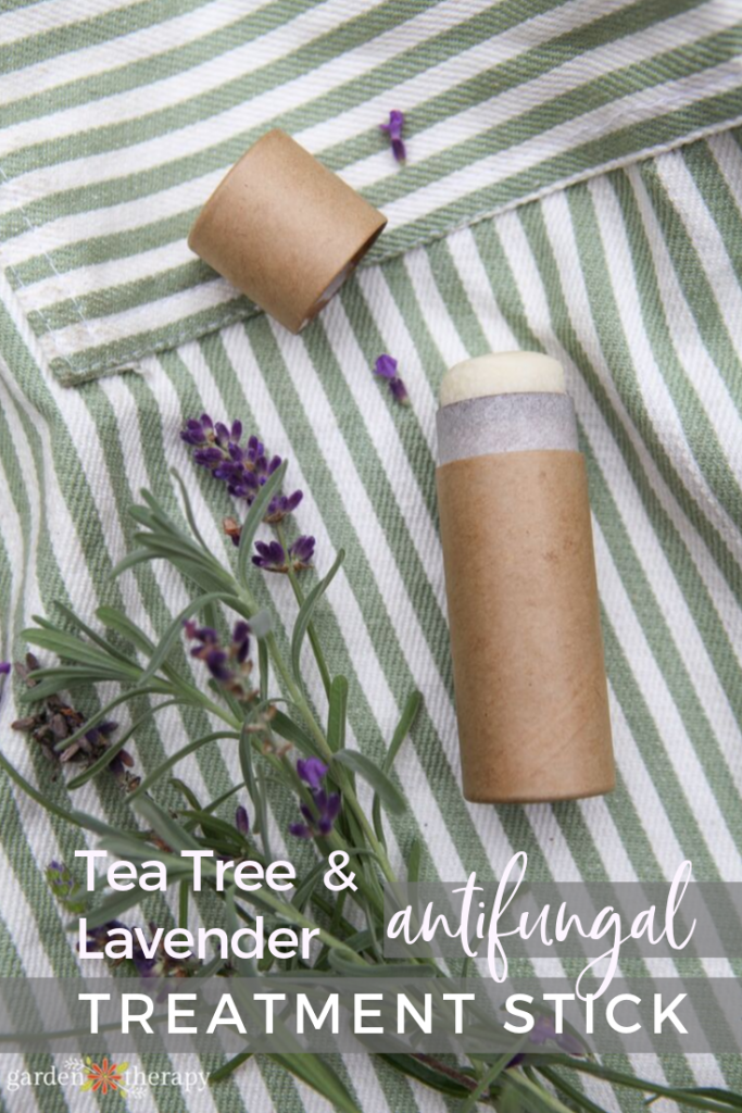 Lavender and Tea Tree Oil Antifungal Treatment Stick