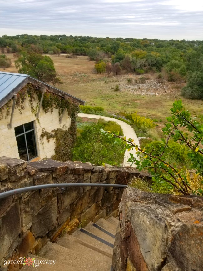 Looking down the stairs of the Lady Bird Johnson Wildflower Center