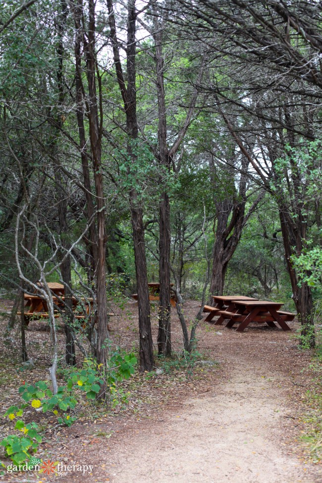 Picnicking at the Arboretum