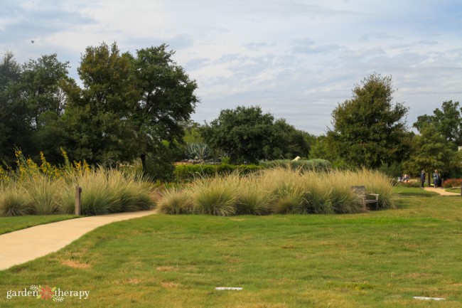 Savanna Meadow View