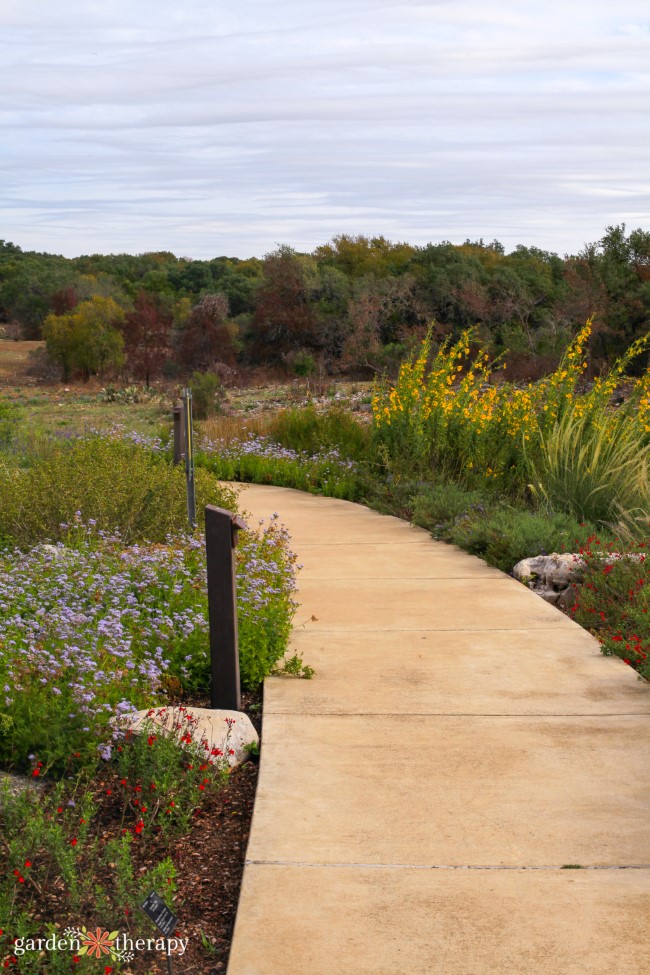 Plant a Wildflower Meadow - Lady Bird Johnson Wildflower Center