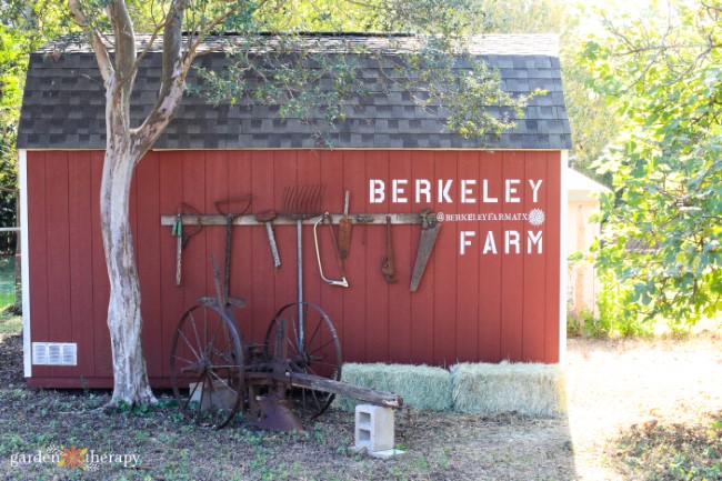 Berkeley Farm Austin Texas