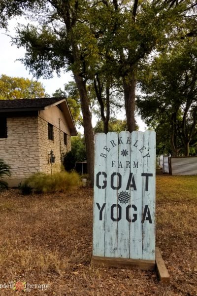 Berkeley Farm Goat Yoga Sign
