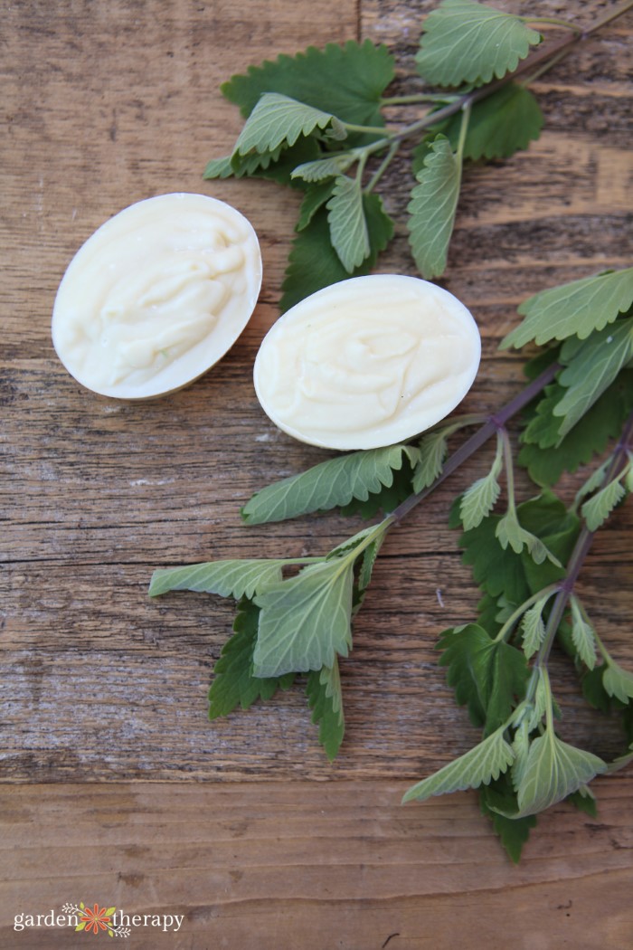 Unscented soap bars on a wooden table with greenery.