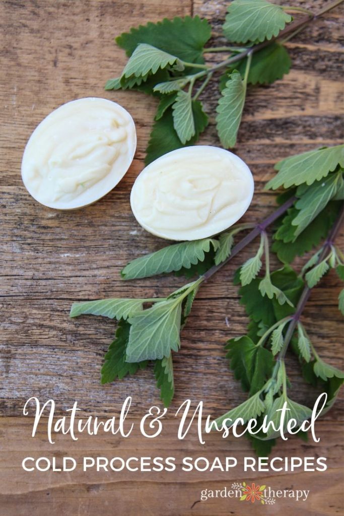 Unscented soap bars on a wooden table with greenery.