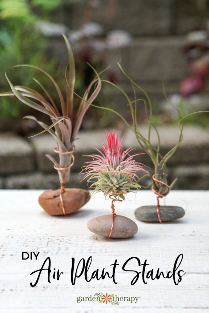 3 air plant stands made from wire and rock