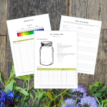 Garden Alchemy Workbook Printable Pages on board