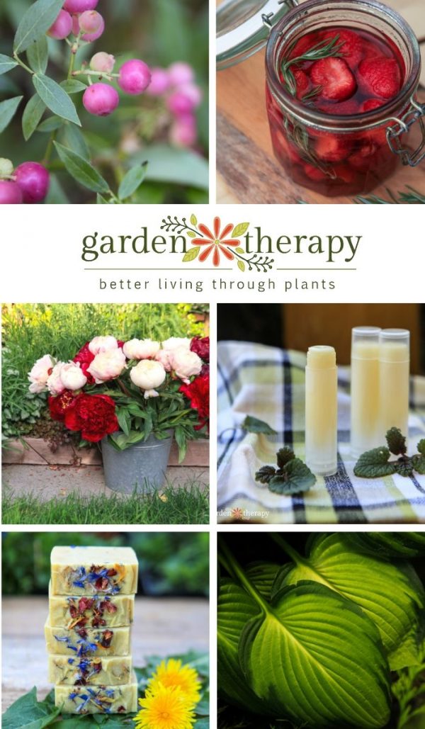 A Year In Review The Best Of Garden Therapy 2019 Garden Therapy A Year In Review The Best Of Garden Therapy 2019 Garden Therapy