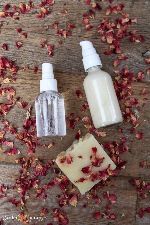 Trio of diy skincare products made with rose lying in dried rose petals