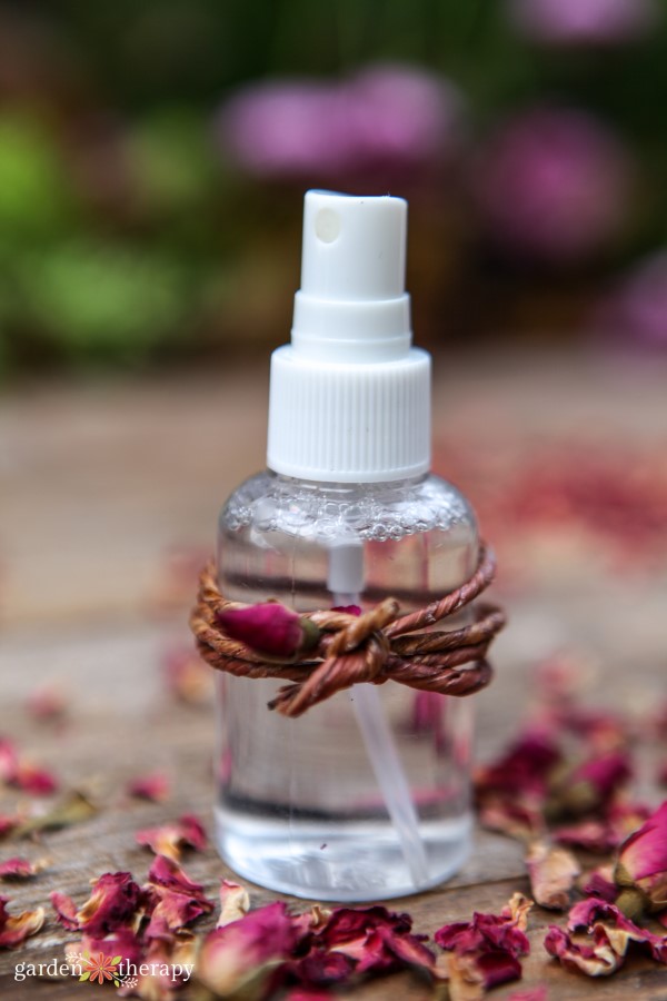 diy rose water toner