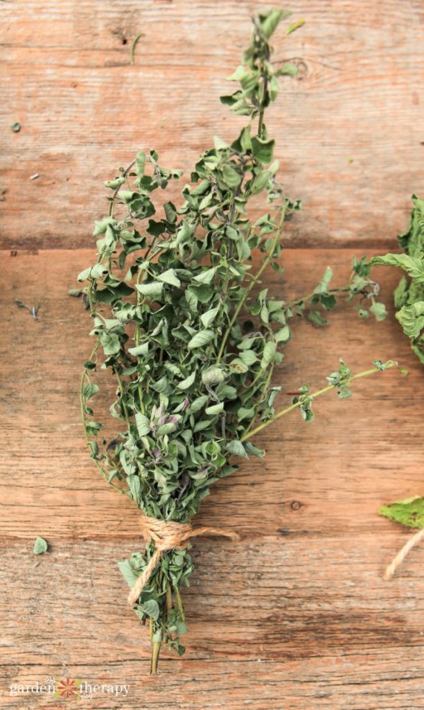 Bunch of dried oregano on a wooden table