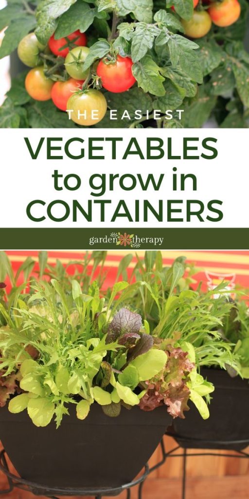 You can grow vegetables in containers