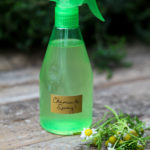 diy chamomile spray to prevent damping off in a glass bottle