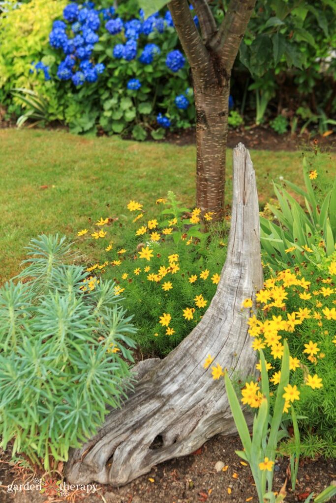 How To Start A Garden from Scratch Without Breaking the Bank