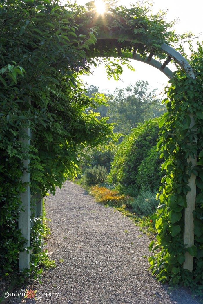 Garden Trellis Tutorial - How to Make a DIY Bamboo Trellis