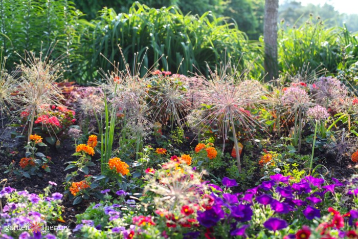 Gorgeous mixed flower border