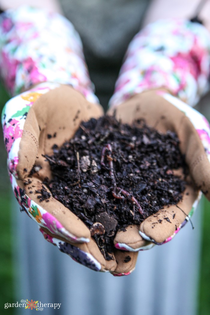 Handful of compost